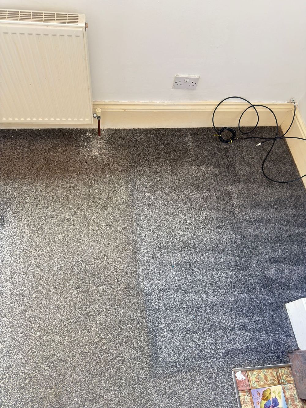 Room carpet deep clean in progress showing dramatic difference